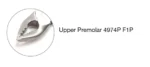 Atraumatic Extraction Forceps - Image 2